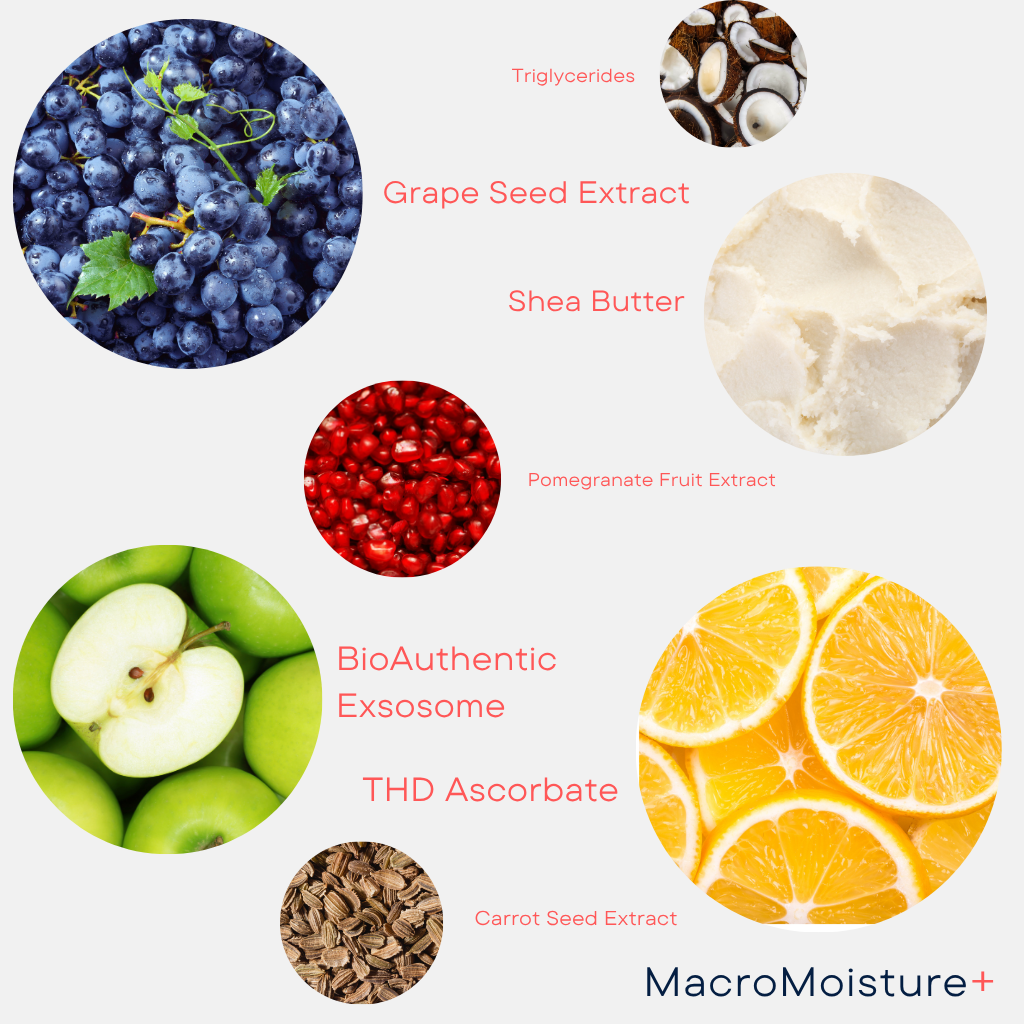 WISH Macro Moisture