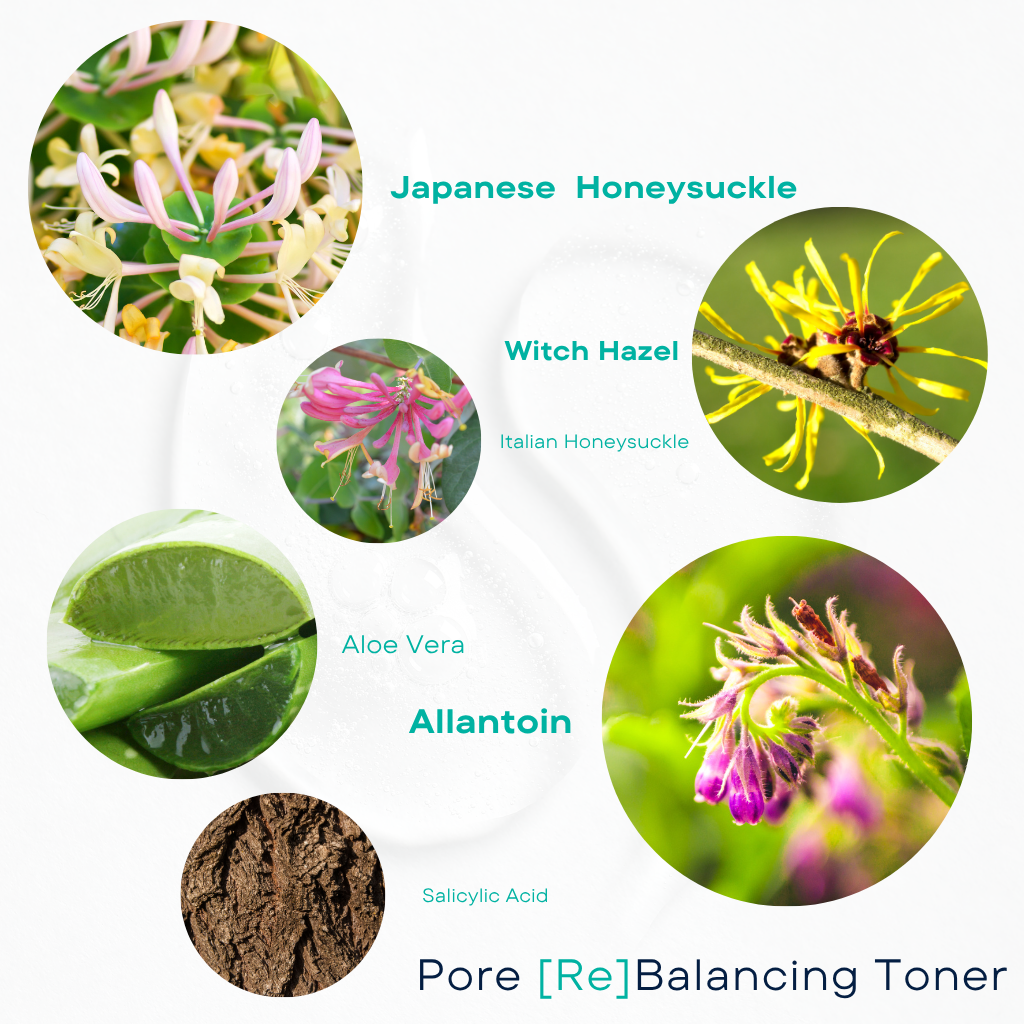 WISH Pore (RE) Balancing Toner