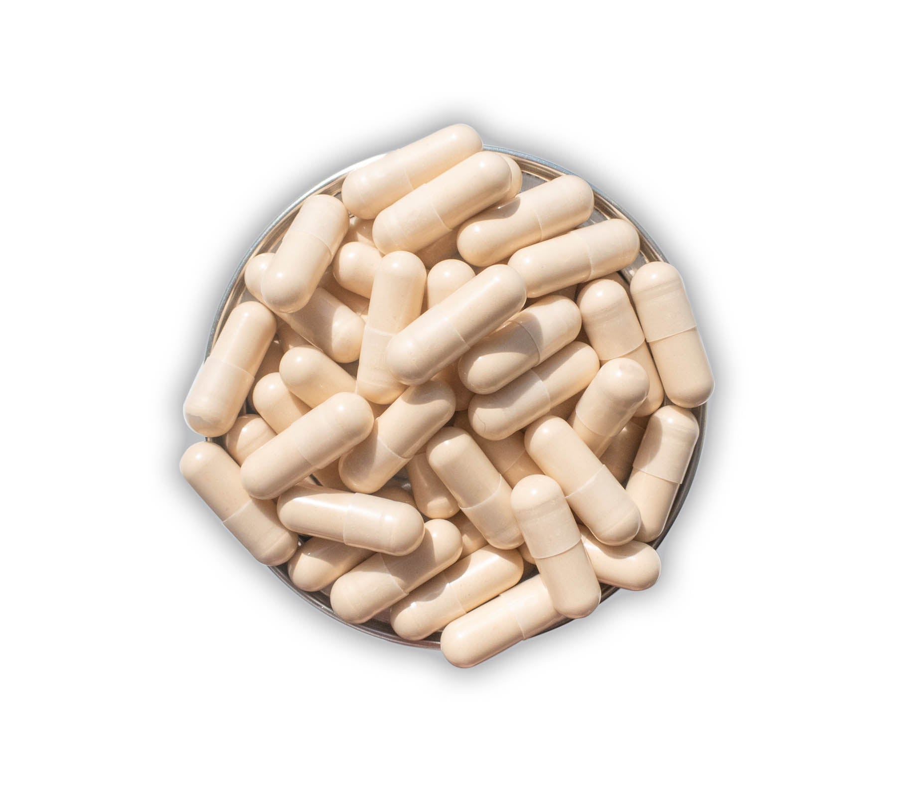Advanced Nutrition Programme Accumax