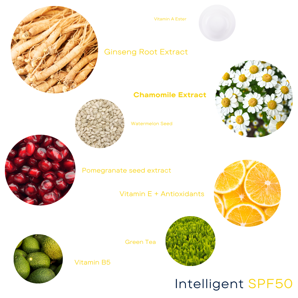 WISH Intelligent SPF 50