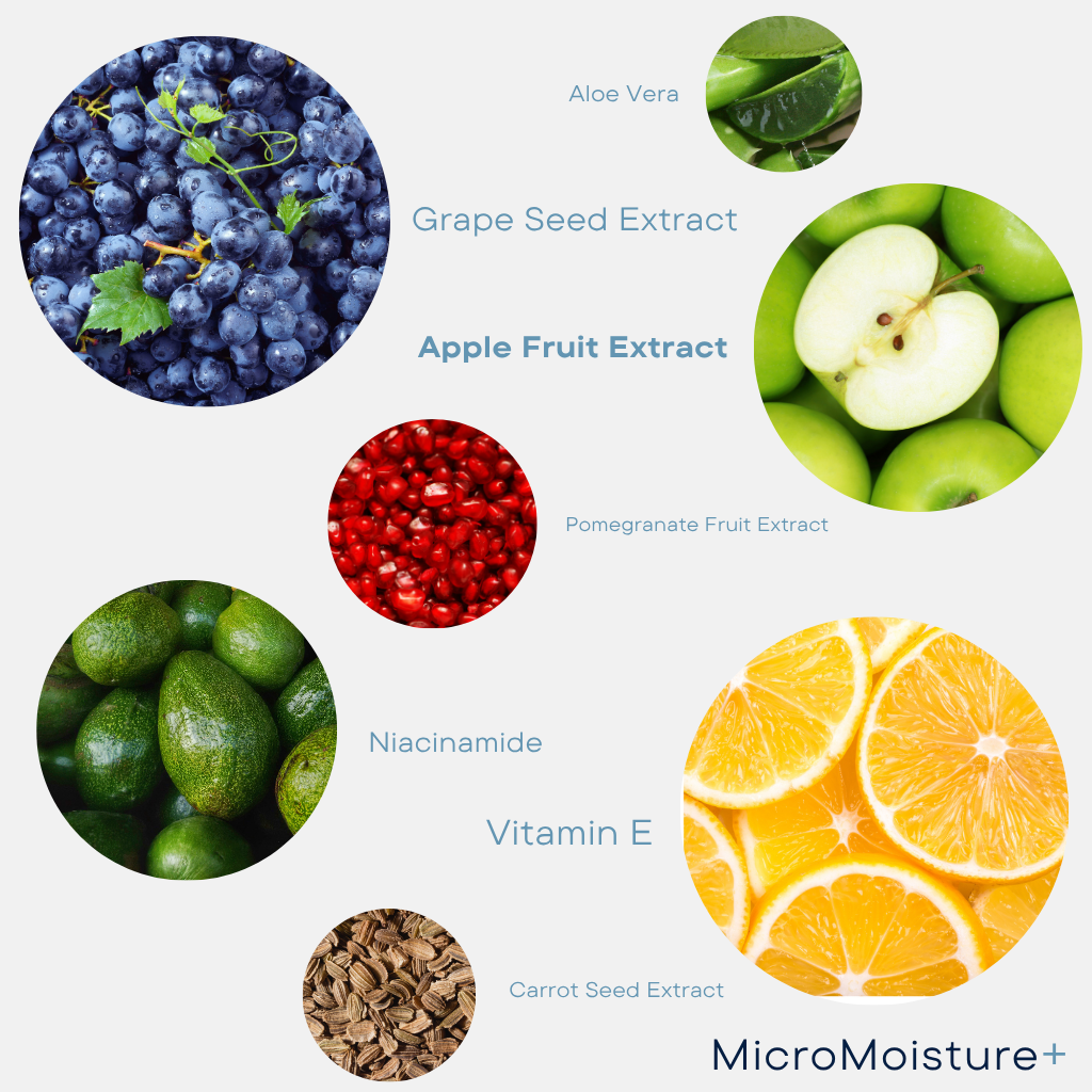 WISH Micro Moisture